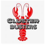 cluster busters"